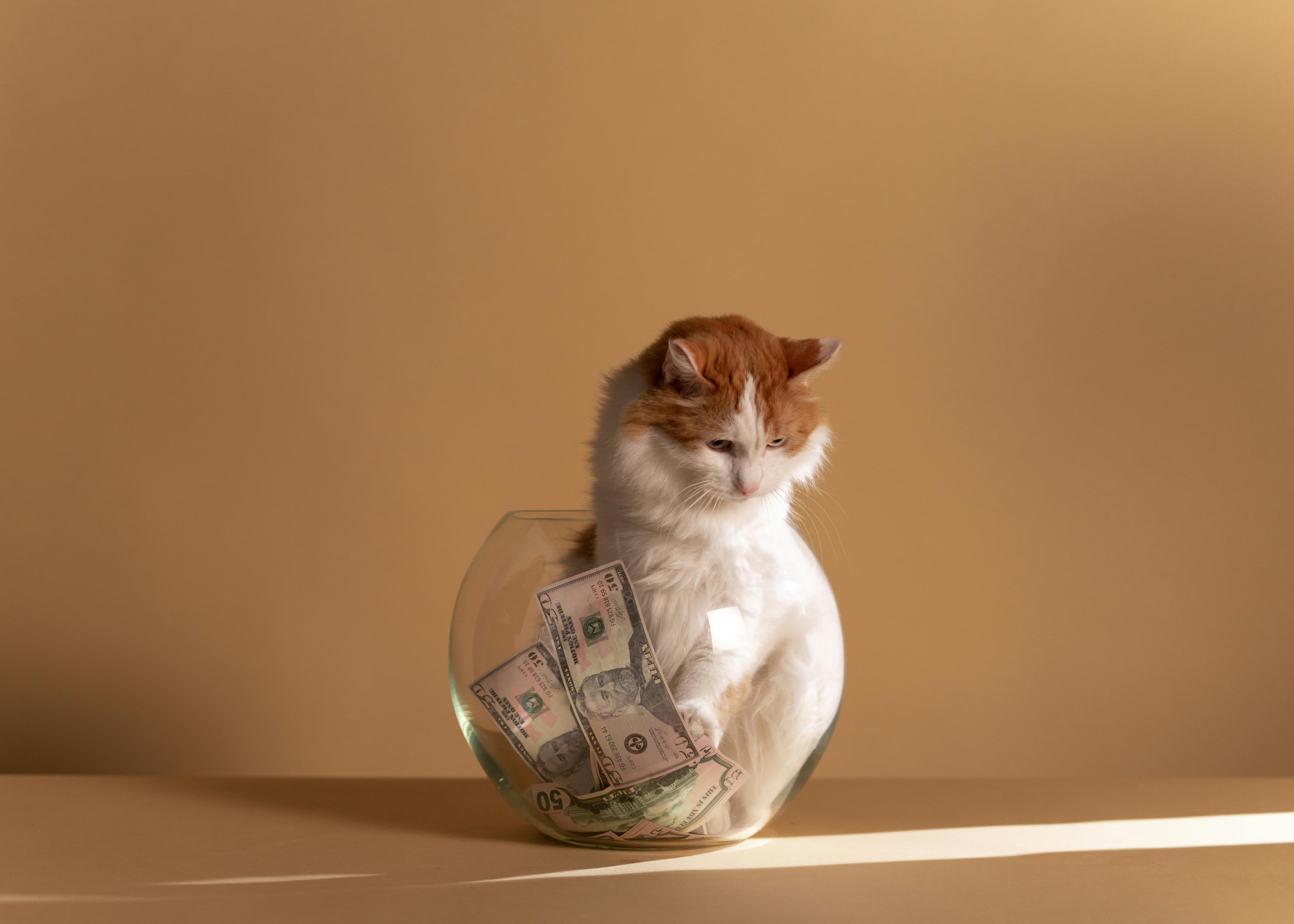 Finance